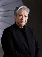 流星网
